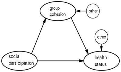 Mechanism of the impacts of older adults social participation on their health